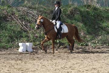 Bild 1142 - WBO-Turnier am 9.4.11